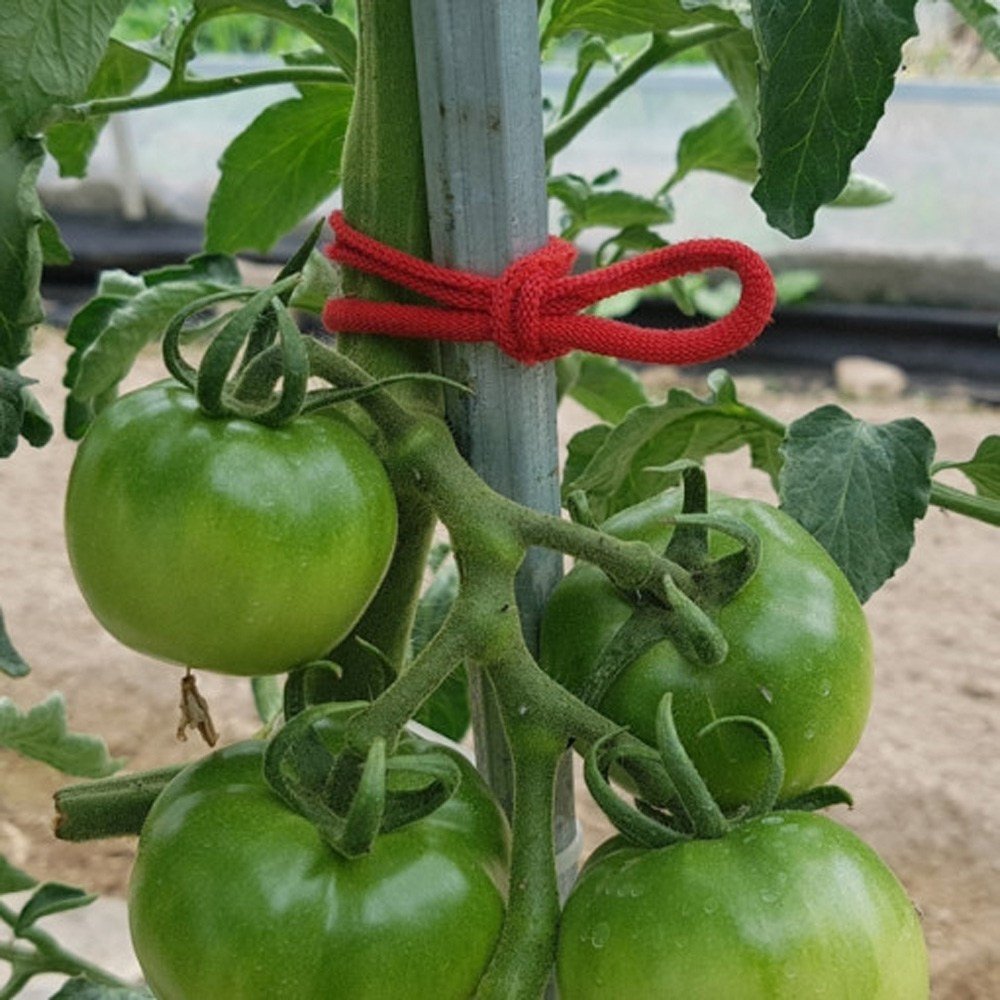 농사용 원예용 고추결속기 3kg 실밥먼지제거 고추끈 양말끈 양말목, 농사용 양말목 3KG(색상랜덤) 실밥먼지제거, 랜덤 발송, 1개 상세 이미지 2