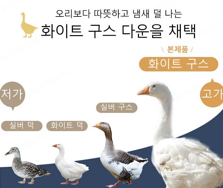 초경량 구스 이불 거위털 다운 여름 겨울 사계절 5성급 호텔 사계절용, 화이트할인 상세 이미지 2